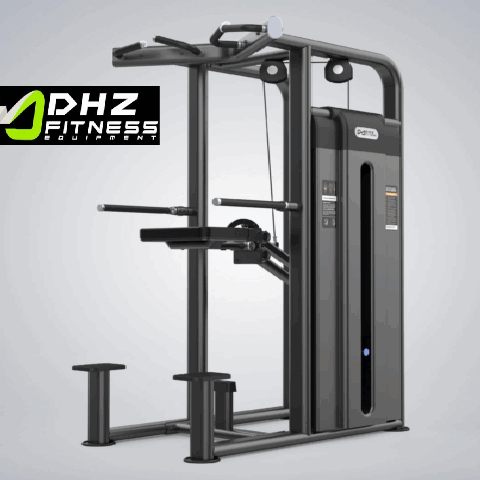 U2009C Dip Chin Assist (DHZ Brand) (Pin Loaded)