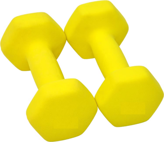 JDB12.25 Vinyl Dipping Dumbbell (Pair) Yellow Colour 2.5kg