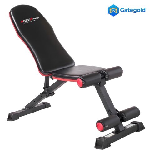 Adjustable Dumbbell Bench