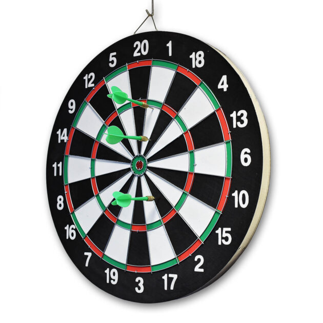 DQ-DB01 Dart Board (Technofitness Brand) - Image 2