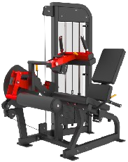 Leg Curl /Leg Extension