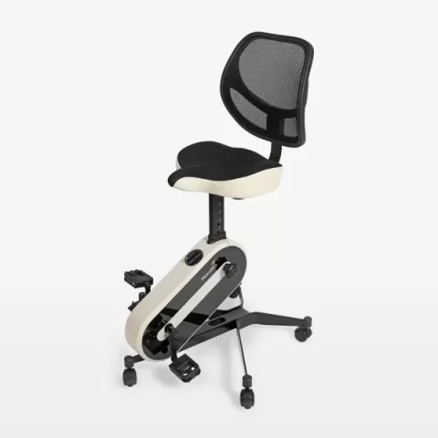 HG5806 Magnetic Bike (Office Bike) Gategold Brand