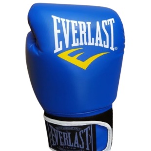 BXG-EVA Boxing Glove 14oz (GateGold Fitness)