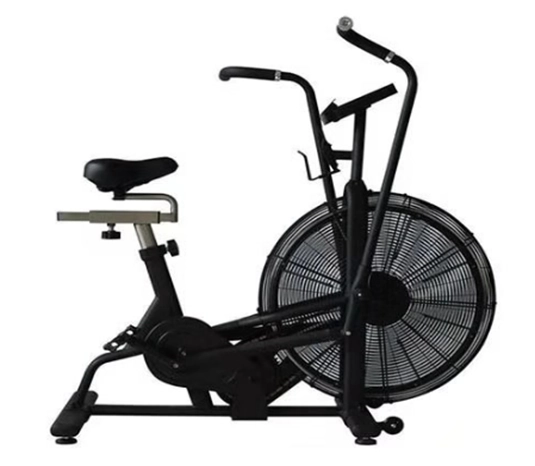 DB110 Air Bike (TechnoFitness Brand)